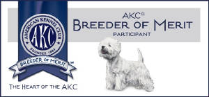 AKCbomBanner.jpg