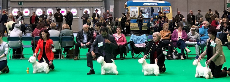 KatCrufts2018Open.jpg