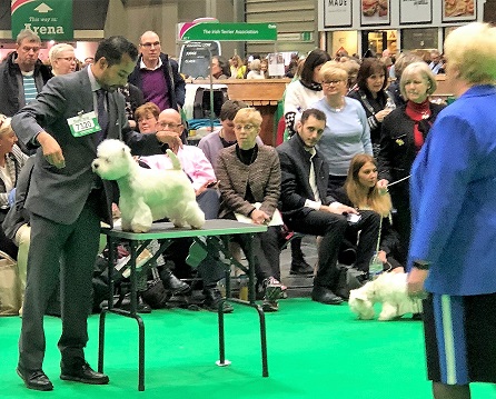 KatCrufts2018table.jpg