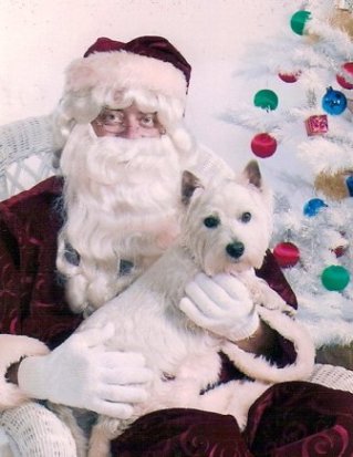 MaxXMas2003.jpg