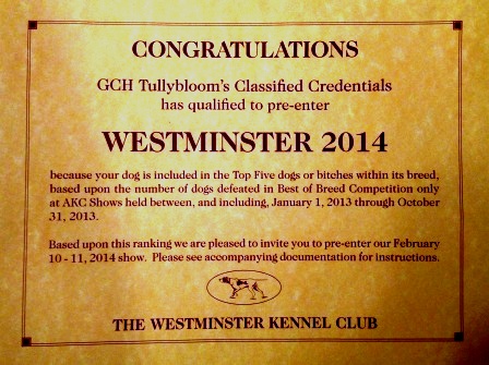 Westminster2014Inviteweb.JPG